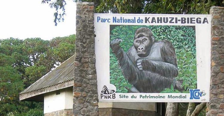 Kahuzi Biega National Park