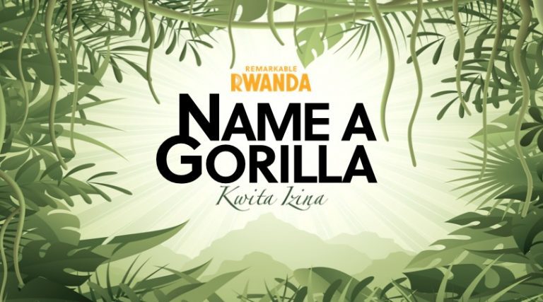 Kwita Izina – Gorilla Naming Event