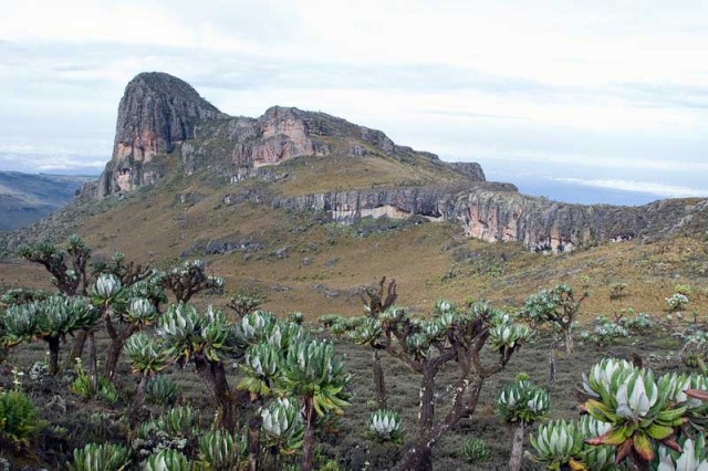 Mount Elgon