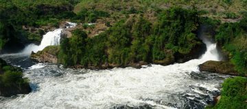 3 Days Murchison Falls Wildlife Safari