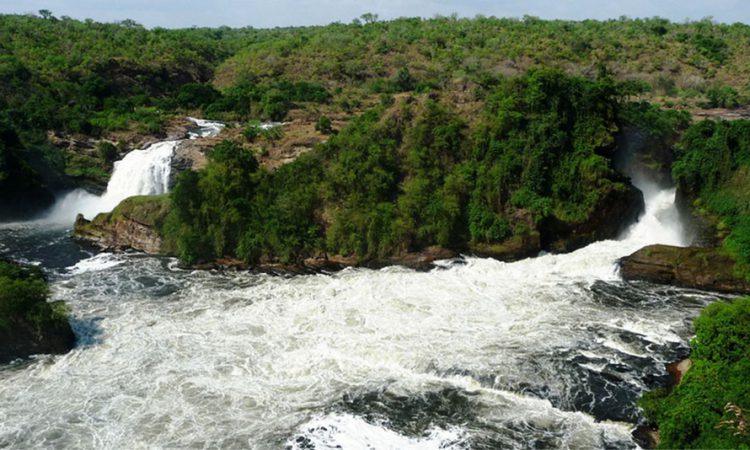 3 Days Murchison Falls Wildlife Safari