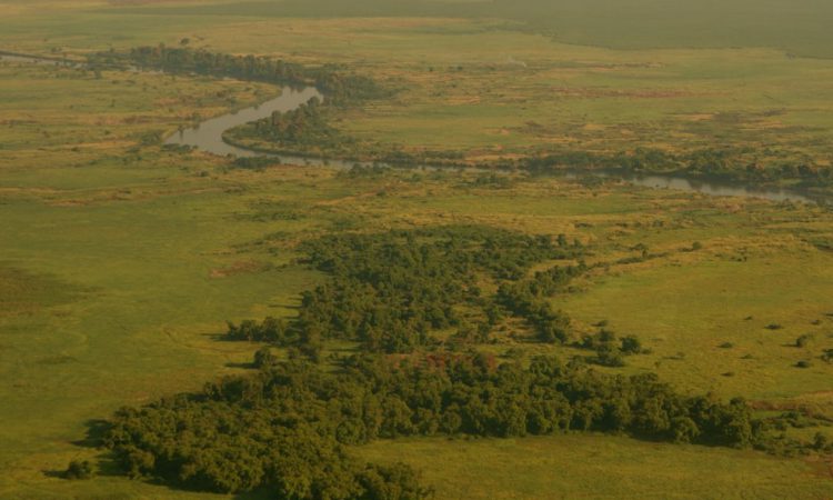 Upemba National Park