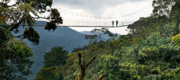 Affordable Lodges Near Nyungwe Forest National Park