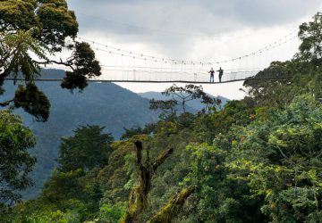 12 Days Rwanda and Uganda Tour