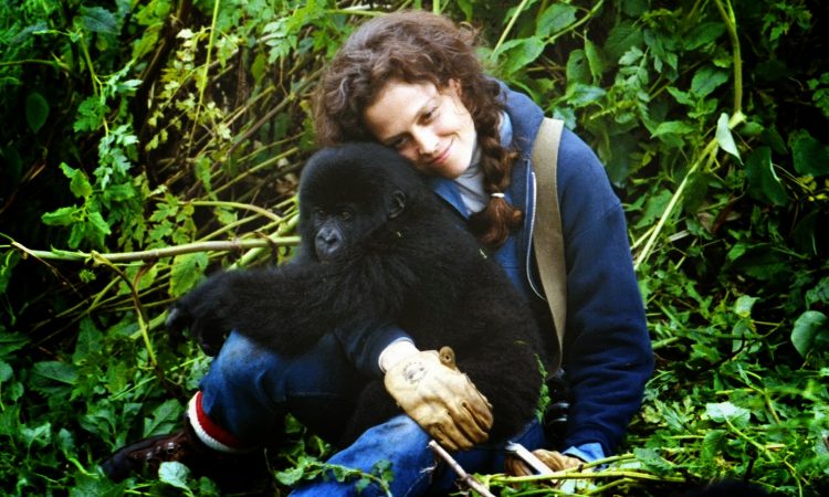 Dian Fossey