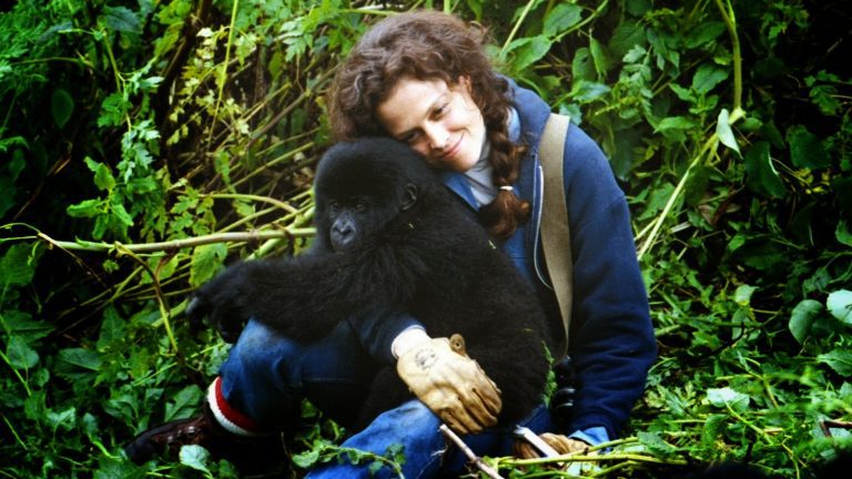 Dian Fossey – American Zoologist