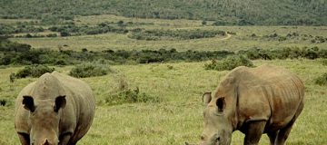 Garamba National Park