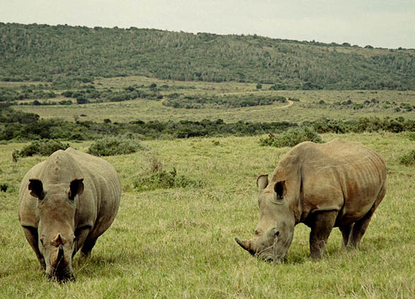 Garamba National Park