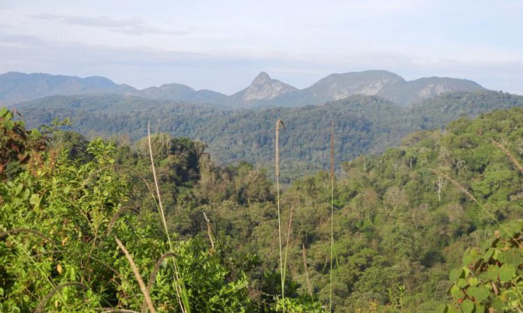 Kahuzi Biega National Park