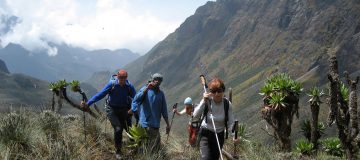 Rwenzori Mountains National Park