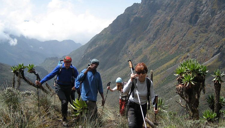 Rwenzori Mountains National Park