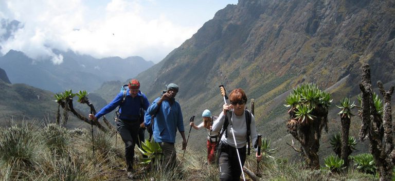 Rwenzori Mountains National Park