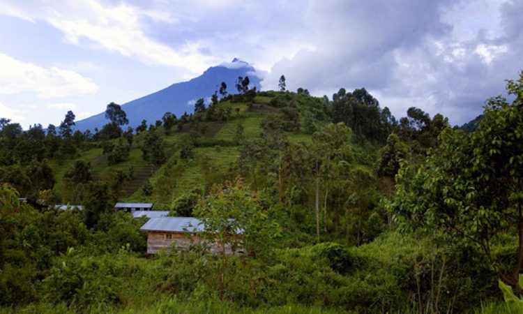 Virunga National Park