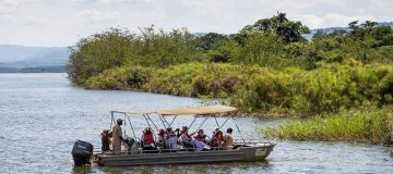 Over 30 Rhinos Grace Akagera National Park in Rwanda