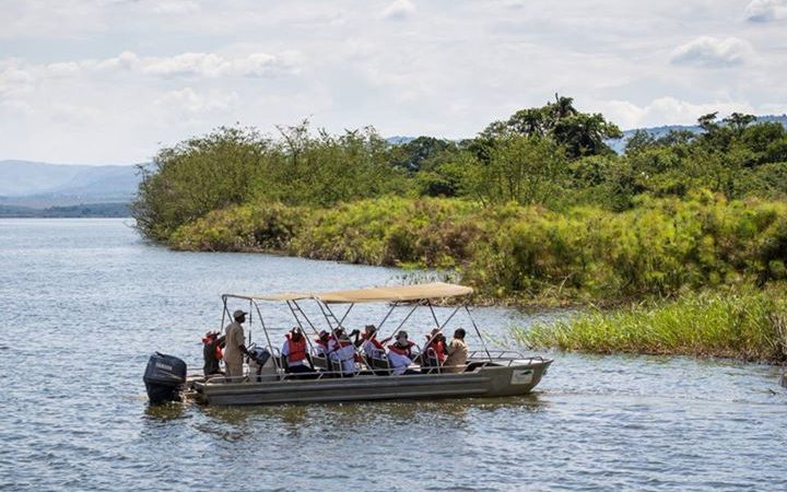 Over 30 Rhinos Grace Akagera National Park in Rwanda