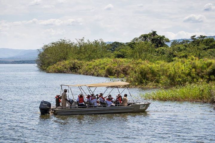 Over 30 Rhinos Grace Akagera National Park in Rwanda