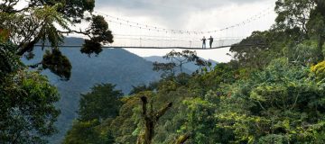 Packing List for Nyungwe Forest