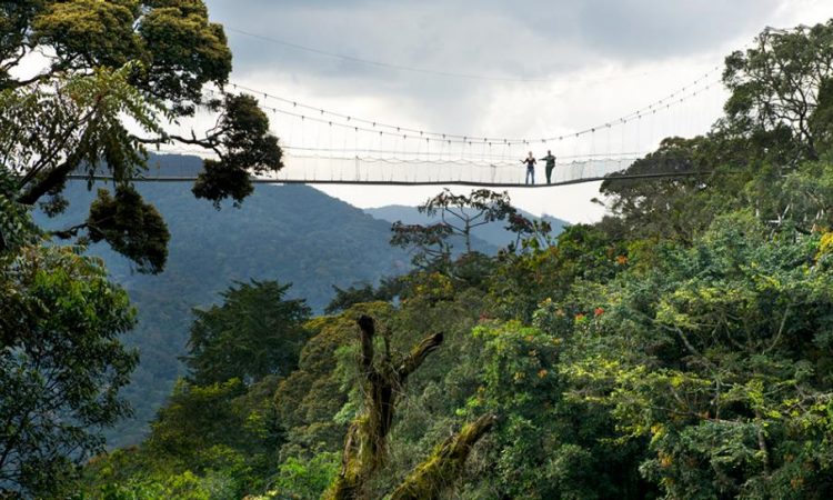 Packing List for Nyungwe Forest