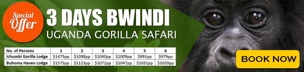 rwanda gorilla trekking tour