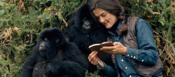 Dian Fossey Safari