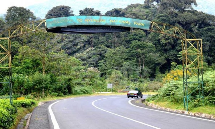 Park Entrance fees for nyungwe