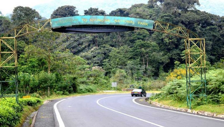 Park Entrance Fees for Nyungwe National Park