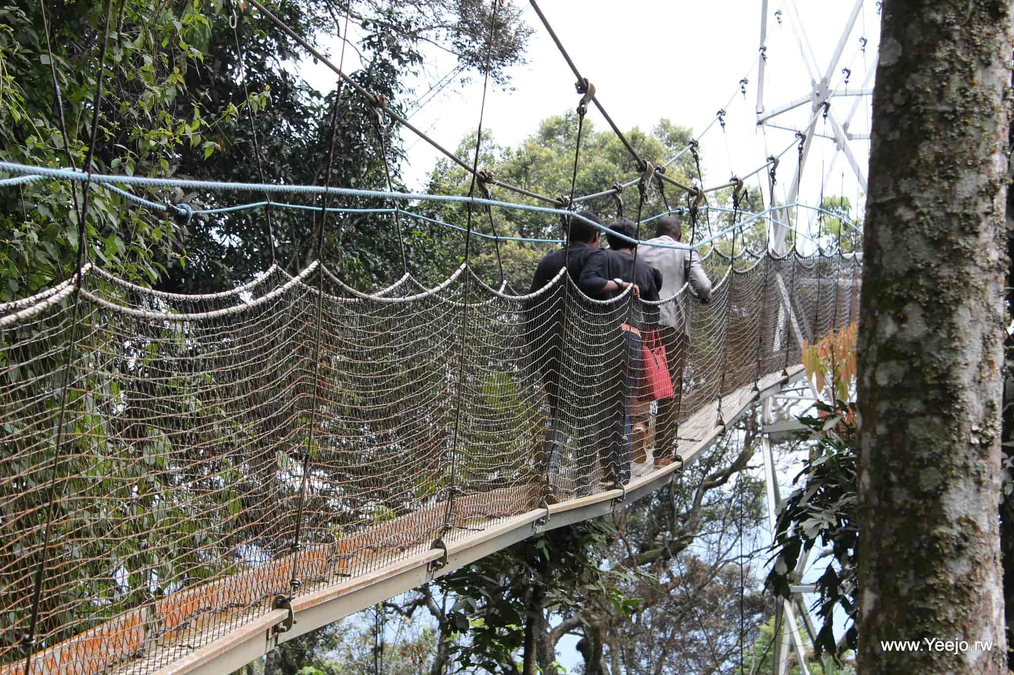 Tour Activities done by tourists in Rwanda