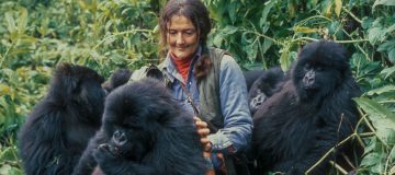 Dian Fossey