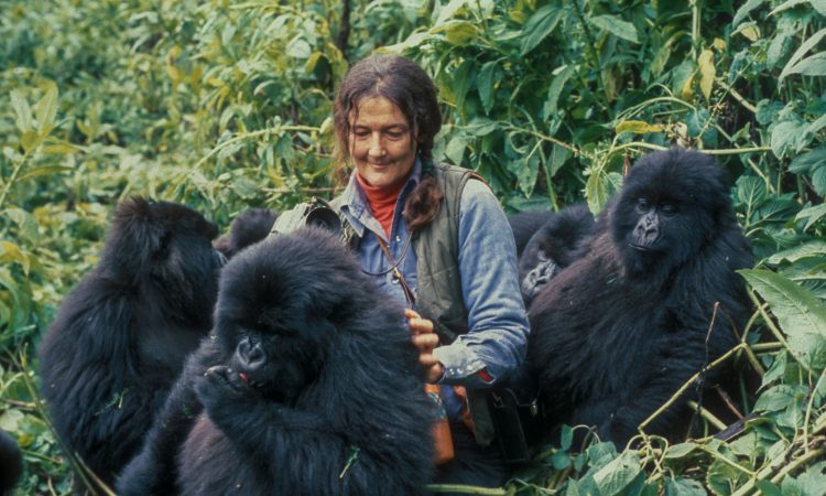 Dian Fossey