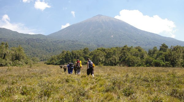 Virunga Mountains Hike