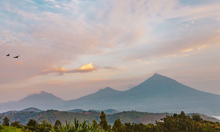 Virunga Mountains Hike