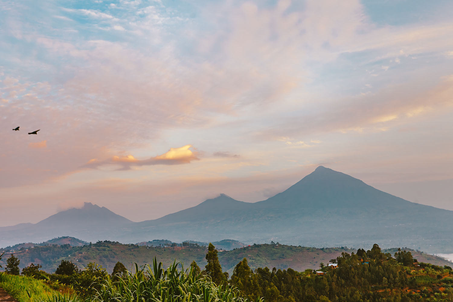 Virunga Mountains Hike - Congo Tours | Uganda Tours | Rwanda Tours
