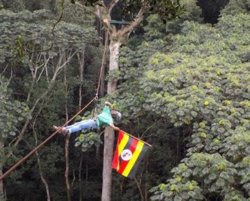 2 Days Mabira Forest & Source of the Nile tour