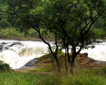 2 Days Murchison Falls Tour