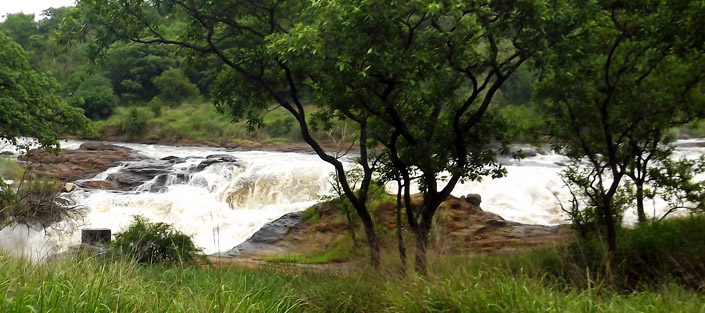 4 Days Murchison Falls & Chimpanzee Trekking