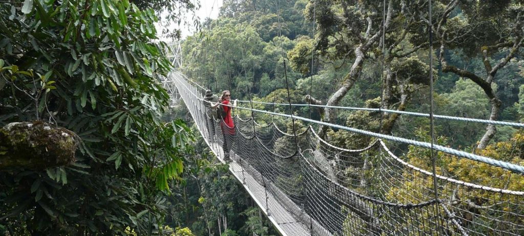 Activities in Nyungwe National Park