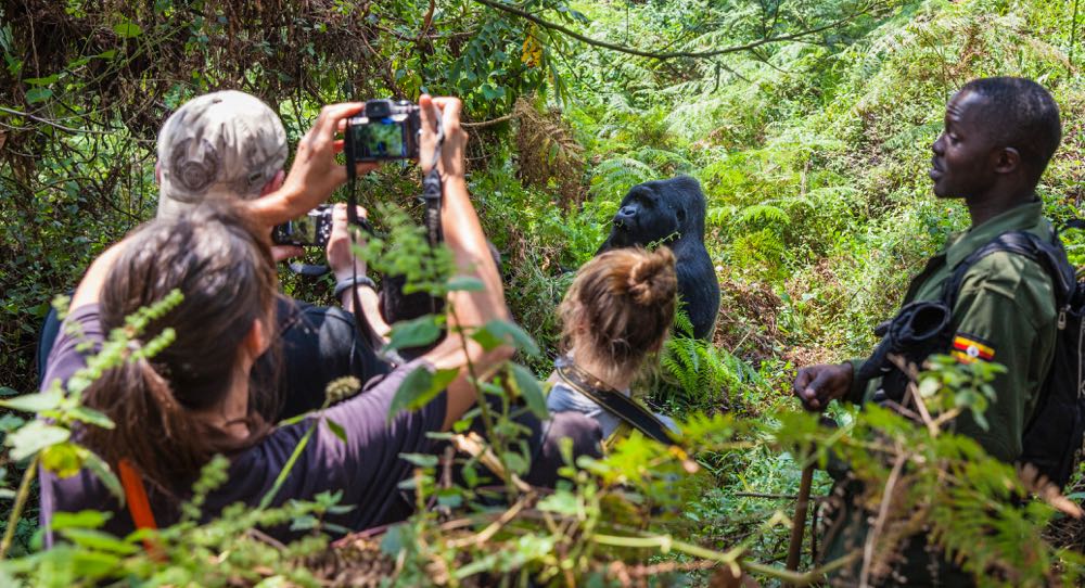 Gorilla Trekking Uganda