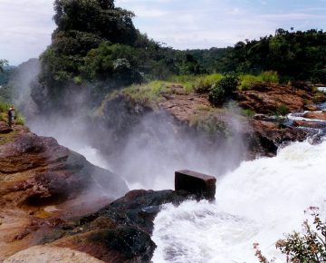 7 Days Kidepo and Murchison Falls Wildlife Safari