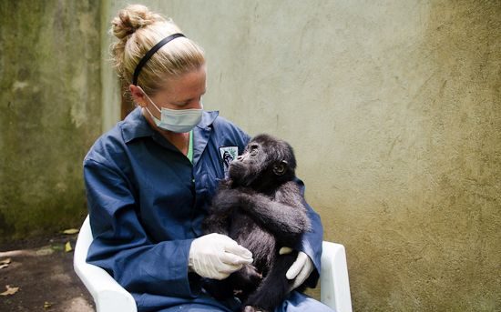Sekwenkwe Gorilla Orphanage