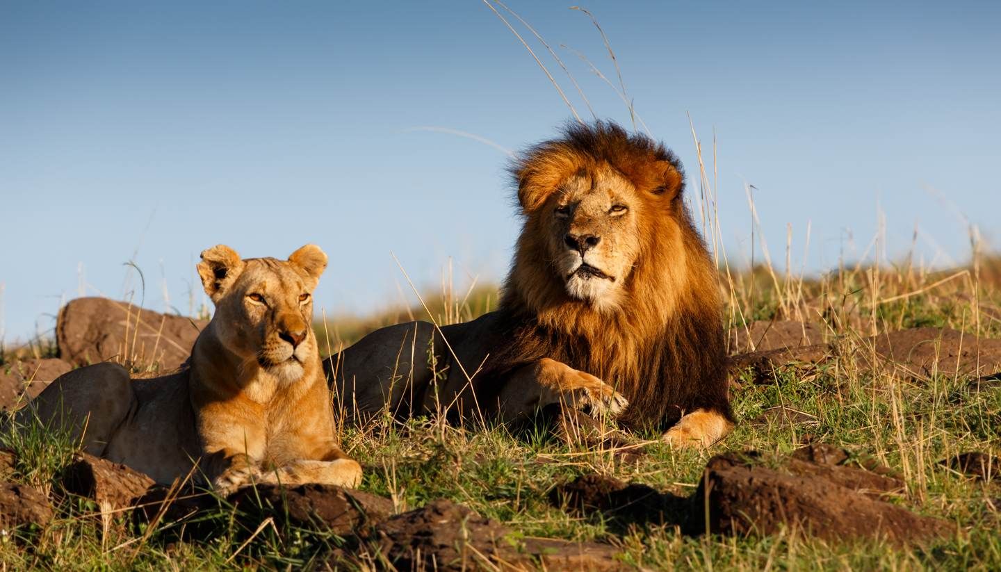 Top 10 Tourist Destinations in East Africa