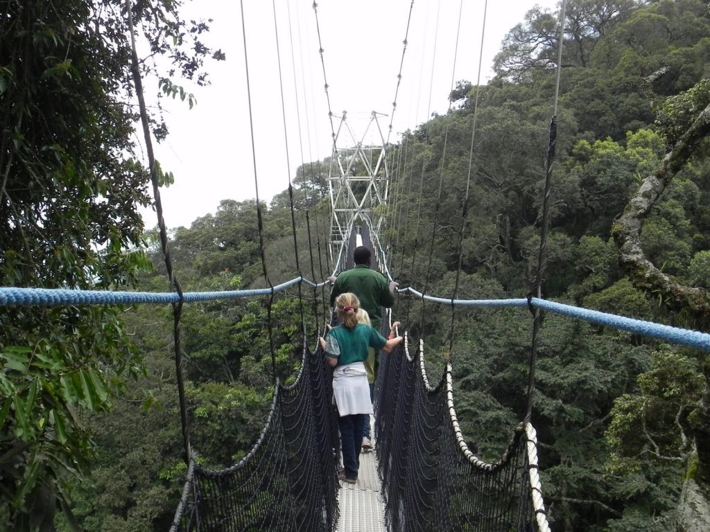 Nyungwe National Park Fees