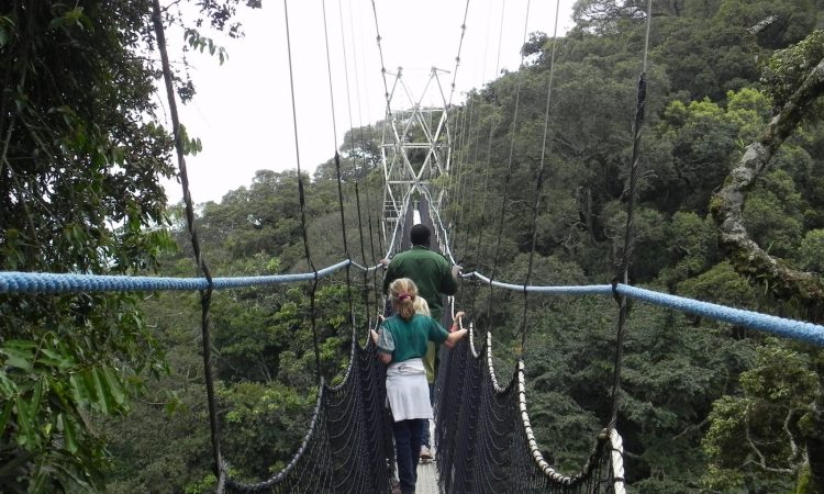 Nyungwe National Park Fees