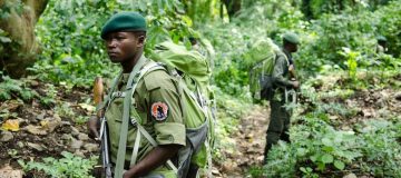 Is Virunga National Park Safe?