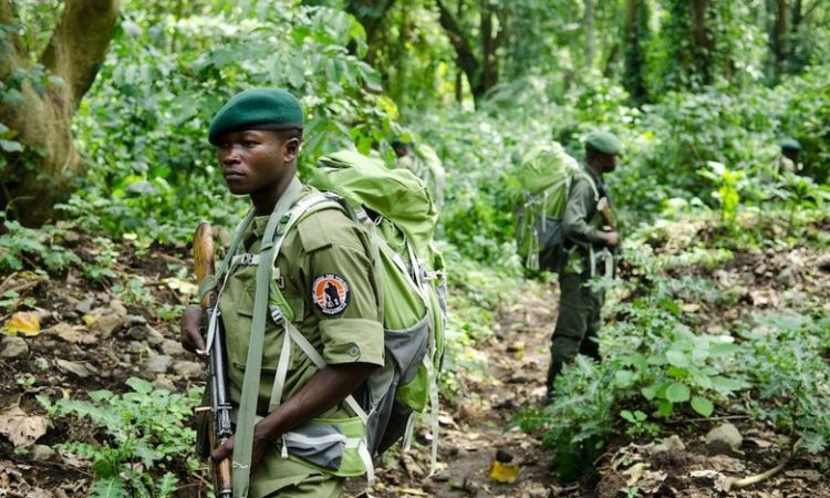 Is Virunga National Park Safe?