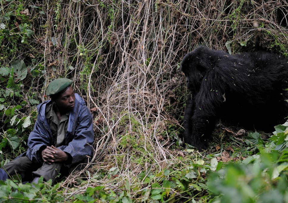 Best time to Visit Virunga National Park