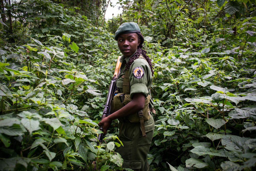 Is Virunga National Park Safe?