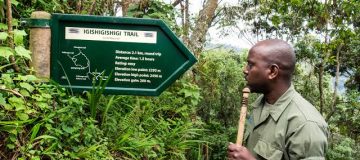 Hiking Trails in Nyungwe National Park
