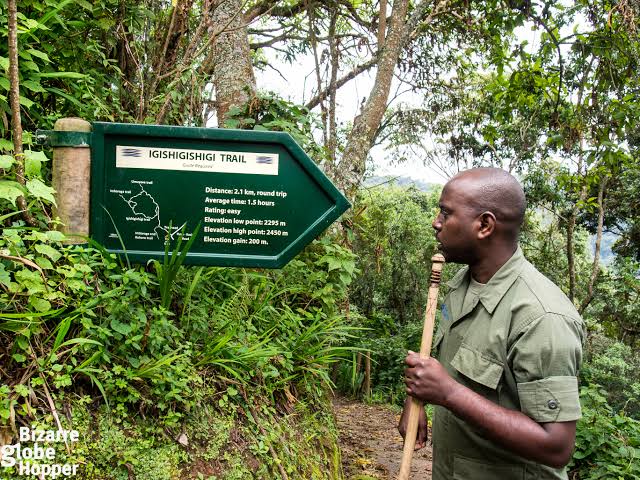 Hiking Trails in Nyungwe National Park