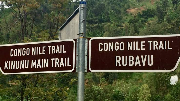 Hiking Trails in Nyungwe National Park