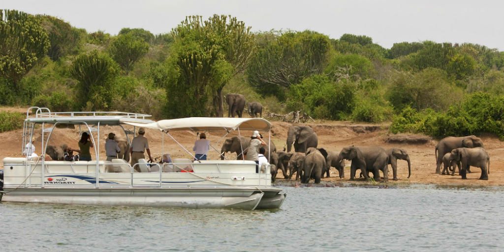 Reasons To visit Akagera National Park